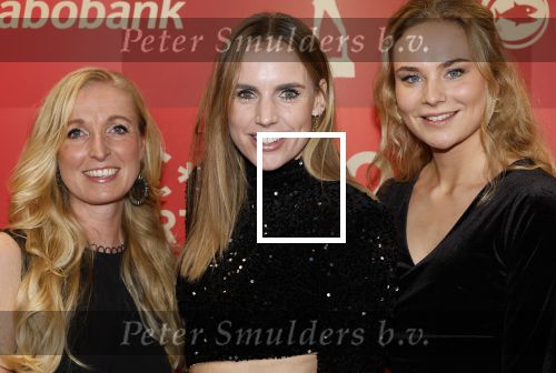 Arnhem 18 december 2024
Sportman van het jaar op Papendal. Sportgala.Marit Bouwmeester