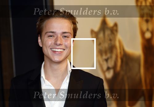 Amsterdam 17 december 2024
Premiere Mufasa (disney) in hotel l\'Europe. Mark Lucas en Manou Jue Cardoso