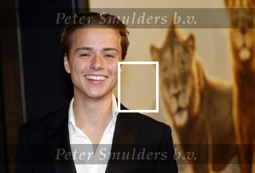Amsterdam 17 december 2024
Premiere Mufasa (disney) in hotel l\'Europe. Mark Lucas en Manou Jue Cardoso