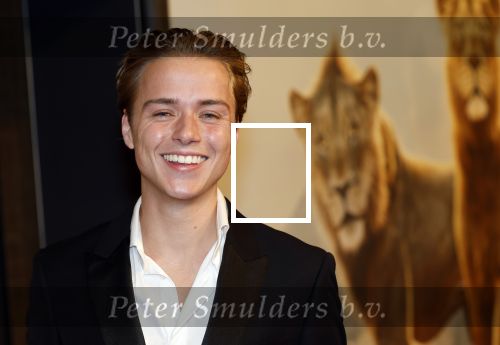 Amsterdam 17 december 2024
Premiere Mufasa (disney) in hotel l\'Europe. Mark Lucas en Manou Jue Cardoso