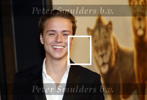 Amsterdam 17 december 2024
Premiere Mufasa (disney) in hotel l\'Europe. Mark Lucas en Manou Jue Cardoso