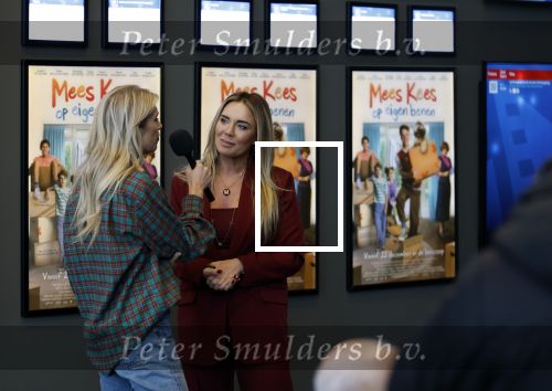 Utrecht 22 december 2024
Premiere Mees Kees in Utrecht . Monique Westenberg