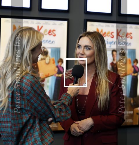 Utrecht 22 december 2024
Premiere Mees Kees in Utrecht . Monique Westenberg