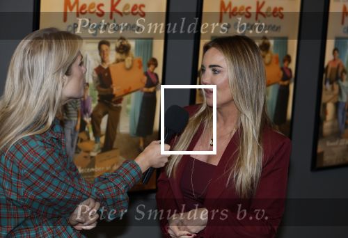 Utrecht 22 december 2024
Premiere Mees Kees in Utrecht . Monique Westenberg