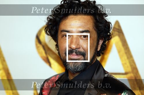 Amsterdam 17 december 2024
Premiere Mufasa (disney) in hotel l\'Europe.