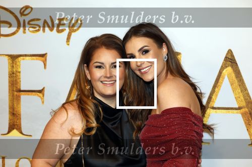Amsterdam 17 december 2024
Premiere Mufasa (disney) in hotel l\'Europe. Natascha Froger en Ann Dominic Wilten
