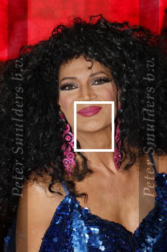 Utrecht 16 december 2024
Nurlaila 50 jaar bij show van Tina Turner in Beatrix Theater. Nederlandse Diana Ross