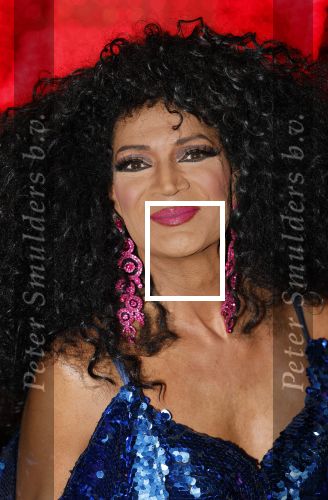Utrecht 16 december 2024
Nurlaila 50 jaar bij show van Tina Turner in Beatrix Theater. Nederlandse Diana Ross