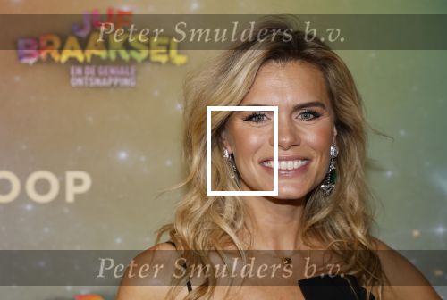 Amsterdam 8 december 2024
Premiere Juf Brakel in Pathe Arena met in de hoofdrollen Nicolette v Dam Martijn Fischer Annette Barlo Ditmar Marlin Flint de Man Floris Gobel Annick Boer Aram v d Rest Bart Oomen Carolina Dijkhuizen ea.