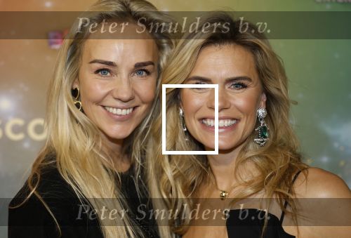 Amsterdam 8 december 2024
Premiere Juf Brakel in Pathe Arena met in de hoofdrollen Nicolette v Dam Martijn Fischer Annette Barlo Ditmar Marlin Flint de Man Floris Gobel Annick Boer Aram v d Rest Bart Oomen Carolina Dijkhuizen ea. Nicolette v Dam en Leontine Mourits