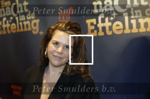 Tilburg 22 december 2024
Premiere theatershow Efteling in schouwburg van Tilburg . Nienke v Manen