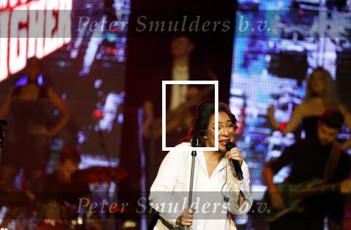 Utrecht 16 december 2024
Nurlaila 50 jaar bij show van Tina Turner in Beatrix Theater.