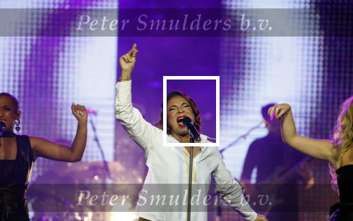 Utrecht 16 december 2024
Nurlaila 50 jaar bij show van Tina Turner in Beatrix Theater.