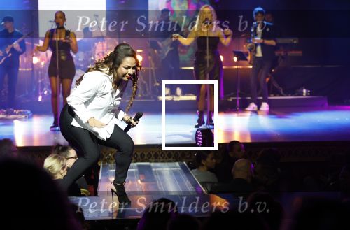 Utrecht 16 december 2024
Nurlaila 50 jaar bij show van Tina Turner in Beatrix Theater.