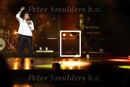 Utrecht 16 december 2024
Nurlaila 50 jaar bij show van Tina Turner in Beatrix Theater.