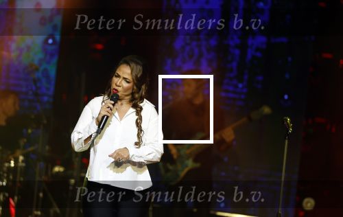 Utrecht 16 december 2024
Nurlaila 50 jaar bij show van Tina Turner in Beatrix Theater.