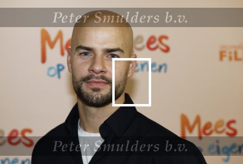 Utrecht 22 december 2024
Premiere Mees Kees in Utrecht . Oscar Aerts kwam met vrouw en kinderen