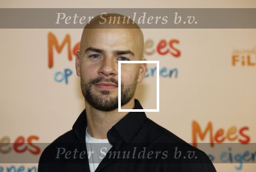 Utrecht 22 december 2024
Premiere Mees Kees in Utrecht . Oscar Aerts kwam met vrouw en kinderen