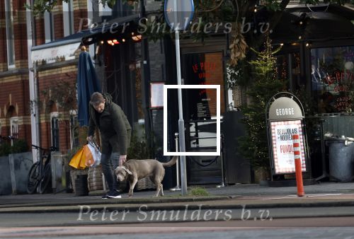 Amsterdam 19 december 2024
Prins maurits en zijn hond doen boodschappen in Amsterdam zuid en ga via het vondelpark naar huis .