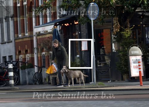 Amsterdam 19 december 2024
Prins maurits en zijn hond doen boodschappen in Amsterdam zuid en ga via het vondelpark naar huis .