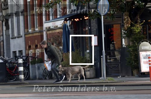 Amsterdam 19 december 2024
Prins maurits en zijn hond doen boodschappen in Amsterdam zuid en ga via het vondelpark naar huis .