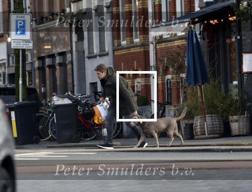 Amsterdam 19 december 2024
Prins maurits en zijn hond doen boodschappen in Amsterdam zuid en ga via het vondelpark naar huis .