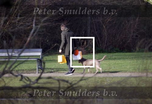 Amsterdam 19 december 2024
Prins maurits en zijn hond doen boodschappen in Amsterdam zuid en ga via het vondelpark naar huis .