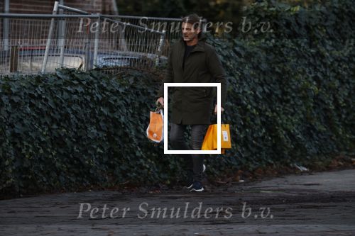 Amsterdam 19 december 2024
Prins maurits en zijn hond doen boodschappen in Amsterdam zuid en ga via het vondelpark naar huis .