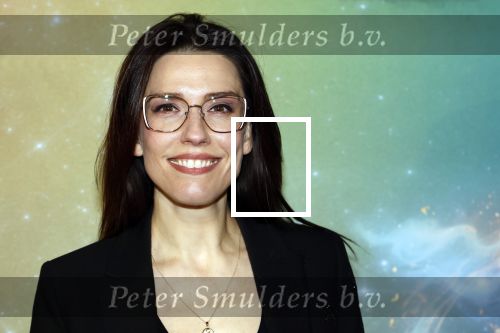 Amsterdam 8 december 2024
Premiere Juf Brakel in Pathe Arena met in de hoofdrollen Nicolette v Dam Martijn Fischer Annette Barlo Ditmar Marlin Flint de Man Floris Gobel Annick Boer Aram v d Rest Bart Oomen Carolina Dijkhuizen ea.Renee v Wegberg kwam met zoontje