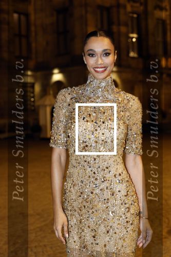 Amsterdam 10 december 2024
Staatsbezoek Portugal Koningin Maxima, president van Portugal Marcelo Rebelo de Sousaen  Koning Willem-Alexander bij paleis op de dam.. Romy Monteiro is uitgenodigd voor het diner