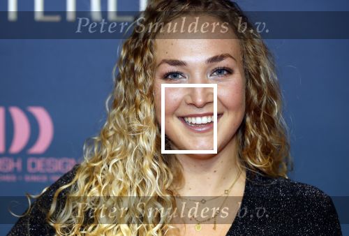 Amsterdam 9 december 2024
Premiere Schitetrend met in de hoofdrollen Holly Brood Gijs Scholten v Asschat Caro Lenssen Hannah Hoekstra Maarten Heijemans Bobbie Mulder Sidar Toksoz  in Tuschinski. Romy Ruitenbeek