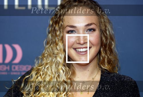 Amsterdam 9 december 2024
Premiere Schitetrend met in de hoofdrollen Holly Brood Gijs Scholten v Asschat Caro Lenssen Hannah Hoekstra Maarten Heijemans Bobbie Mulder Sidar Toksoz  in Tuschinski. Romy Ruitenbeek
