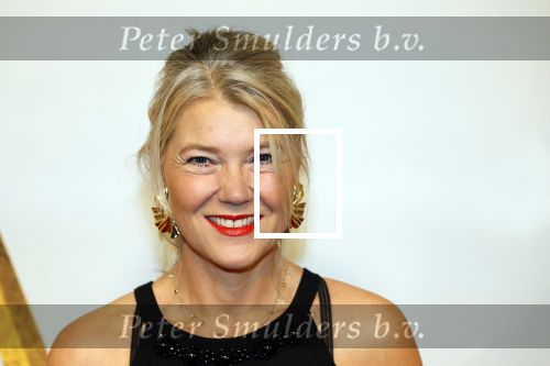 Amsterdam 17 december 2024
Premiere Mufasa (disney) in hotel l\'Europe. Sandra Ysbrandy met man