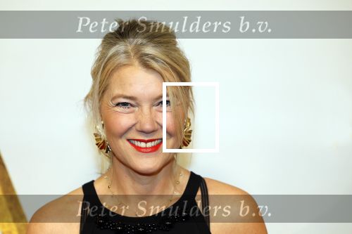 Amsterdam 17 december 2024
Premiere Mufasa (disney) in hotel l\'Europe. Sandra Ysbrandy met man