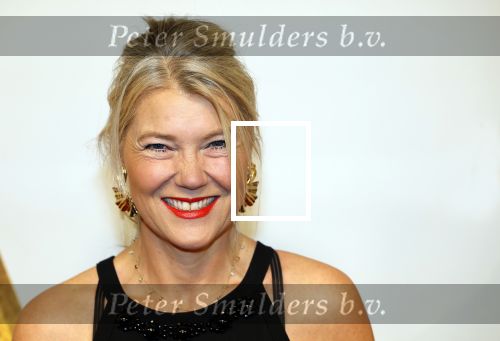 Amsterdam 17 december 2024
Premiere Mufasa (disney) in hotel l\'Europe. Sandra Ysbrandy met man