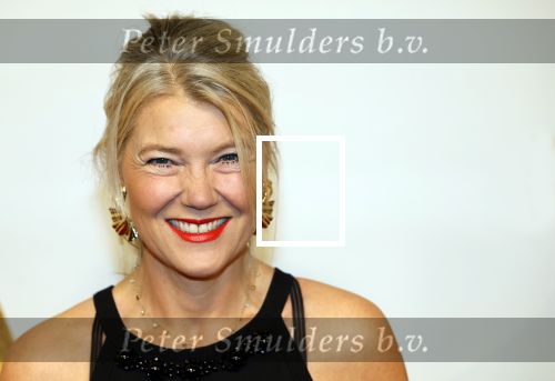 Amsterdam 17 december 2024
Premiere Mufasa (disney) in hotel l\'Europe. Sandra Ysbrandy met man