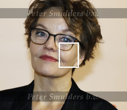 Utrecht 22 december 2024
Premiere Mees Kees in Utrecht . Sanne Wallis de Vries kwam met haar dochter