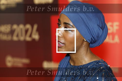 Arnhem 18 december 2024
Sportman van het jaar op Papendal. Sportgala. Sifan Hassan