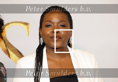Amsterdam 17 december 2024
Premiere Mufasa (disney) in hotel l\'Europe. Simone Weimans