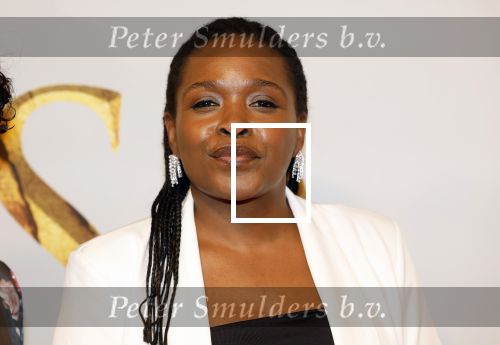 Amsterdam 17 december 2024
Premiere Mufasa (disney) in hotel l\'Europe. Simone Weimans
