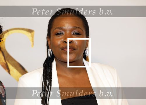 Amsterdam 17 december 2024
Premiere Mufasa (disney) in hotel l\'Europe. Simone Weimans