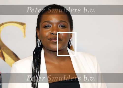 Amsterdam 17 december 2024
Premiere Mufasa (disney) in hotel l\'Europe. Simone Weimans