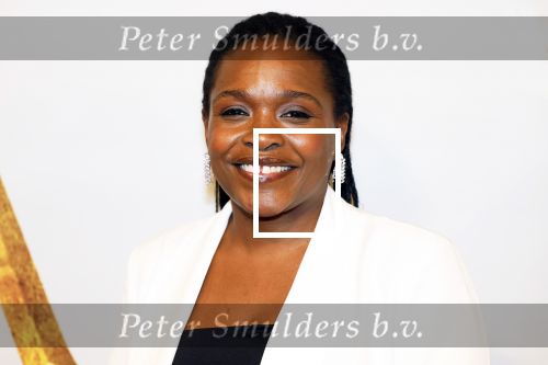 Amsterdam 17 december 2024
Premiere Mufasa (disney) in hotel l\'Europe. Simone Weimans