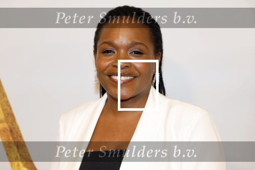 Amsterdam 17 december 2024
Premiere Mufasa (disney) in hotel l\'Europe. Simone Weimans