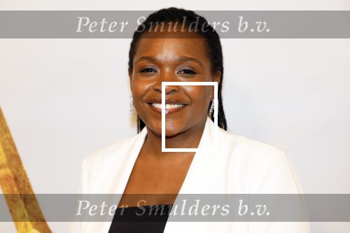 Amsterdam 17 december 2024
Premiere Mufasa (disney) in hotel l\'Europe. Simone Weimans