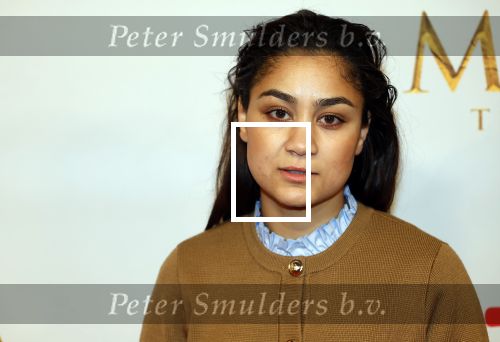 Amsterdam 17 december 2024
Premiere Mufasa (disney) in hotel l\'Europe. Soumaya Ahouaoui