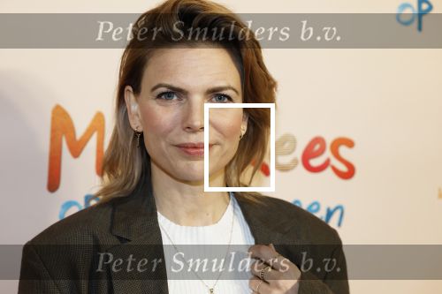 Utrecht 22 december 2024
Premiere Mees Kees in Utrecht . Tamara Brinkman