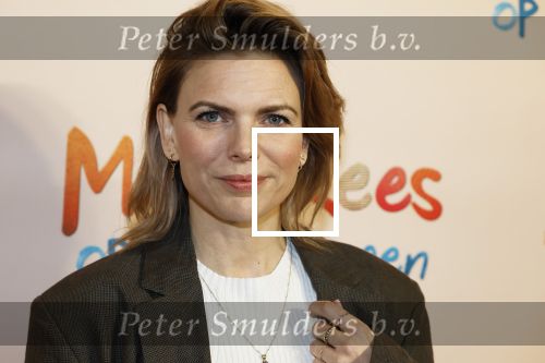 Utrecht 22 december 2024
Premiere Mees Kees in Utrecht . Tamara Brinkman