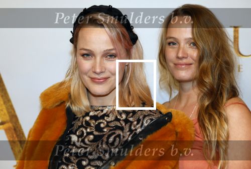 Amsterdam 17 december 2024
Premiere Mufasa (disney) in hotel l\'Europe. Tess Milne