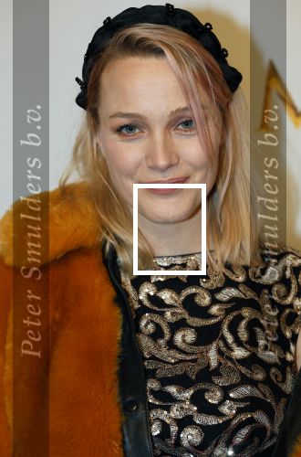 Amsterdam 17 december 2024
Premiere Mufasa (disney) in hotel l\'Europe. Tess Milne